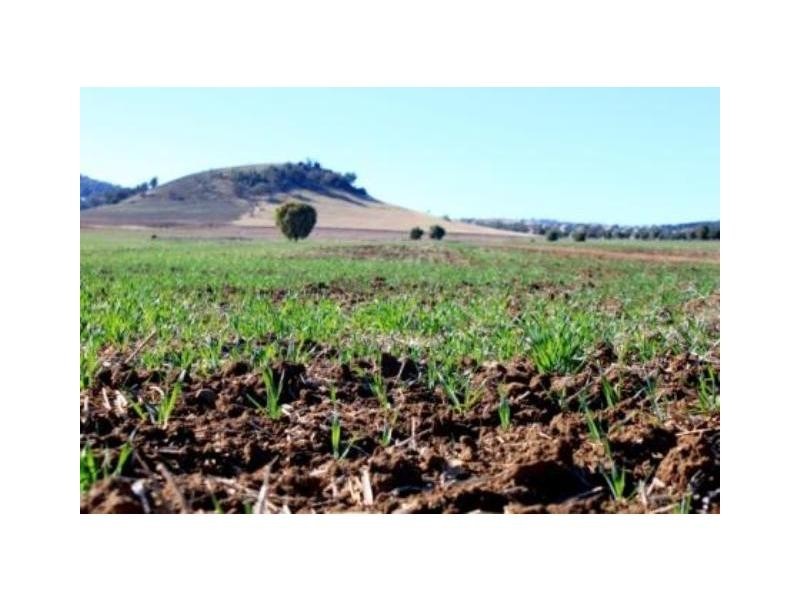 ‘Nullen’ 32 Jackrenshaw Parkway, Tooraweenah NSW 2831