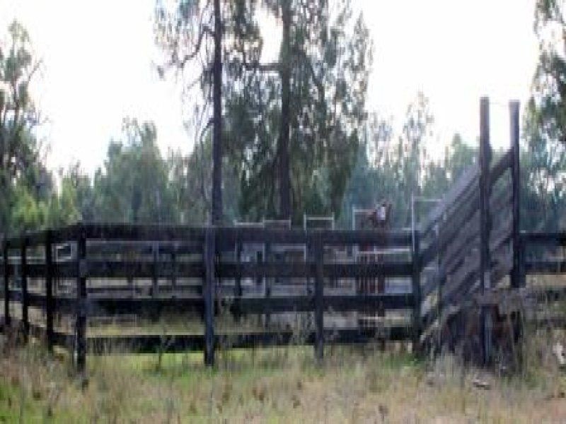 “Pinedale” ., Breelong NSW 2827