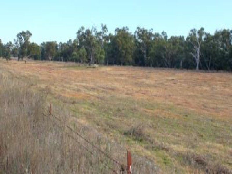 “Pinedale” ., Breelong NSW 2827