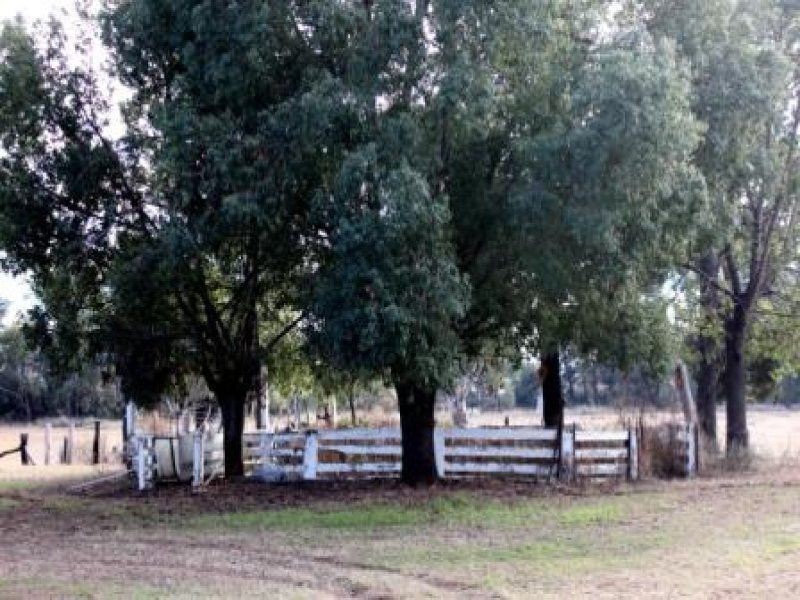 “Pinedale” ., Breelong NSW 2827