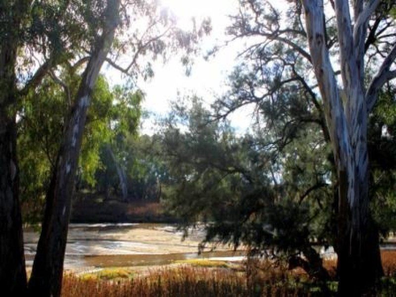 “Pinedale” ., Breelong NSW 2827