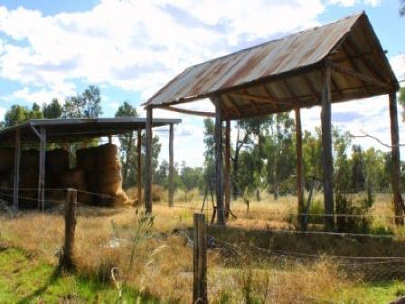 “Pinedale” ., Breelong NSW 2827