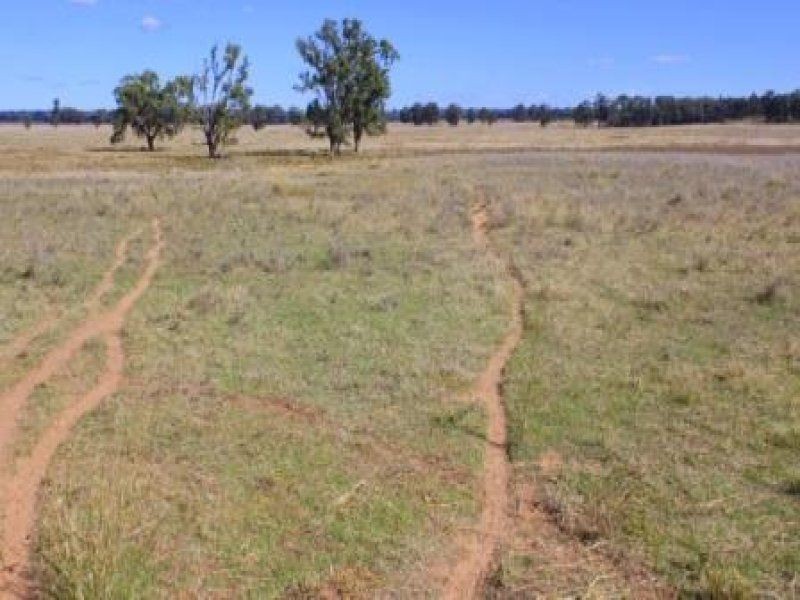 “Pinedale” ., Breelong NSW 2827
