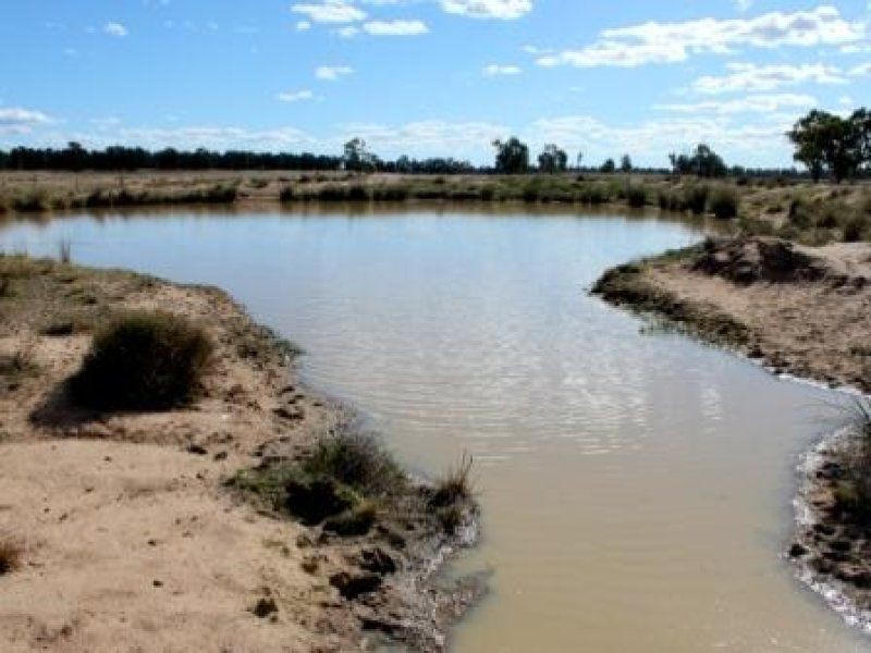 “Pinedale” ., Breelong NSW 2827
