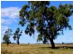 “Pinedale” ., Breelong NSW 2827