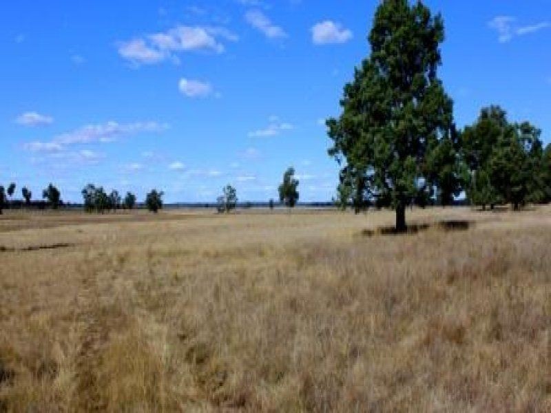 “Pinedale” ., Breelong NSW 2827
