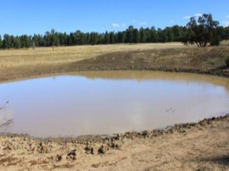 “Pinedale” ., Breelong NSW 2827