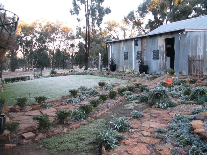 Elong Elong NSW 2831