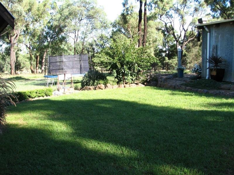 Elong Elong NSW 2831