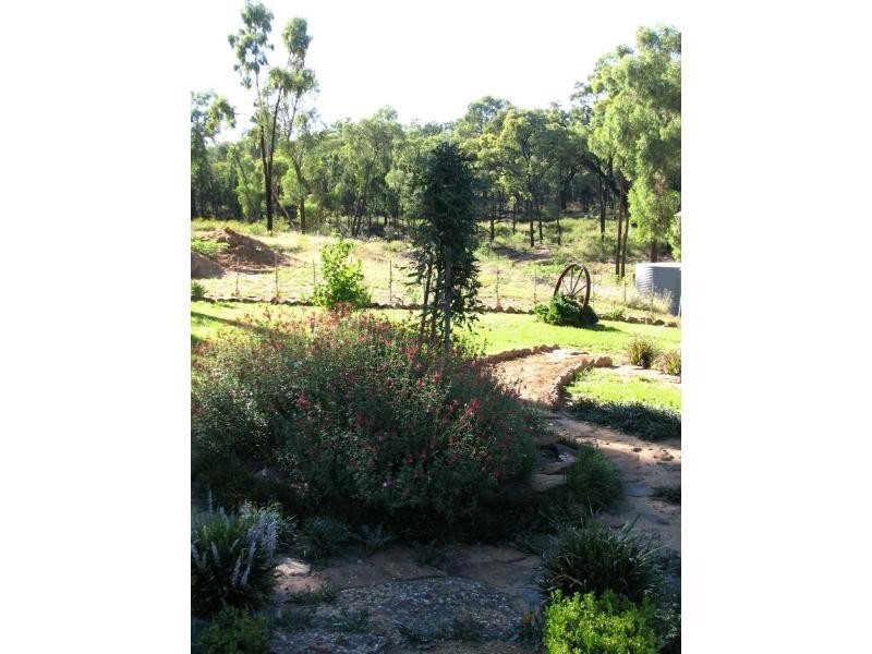 Elong Elong NSW 2831