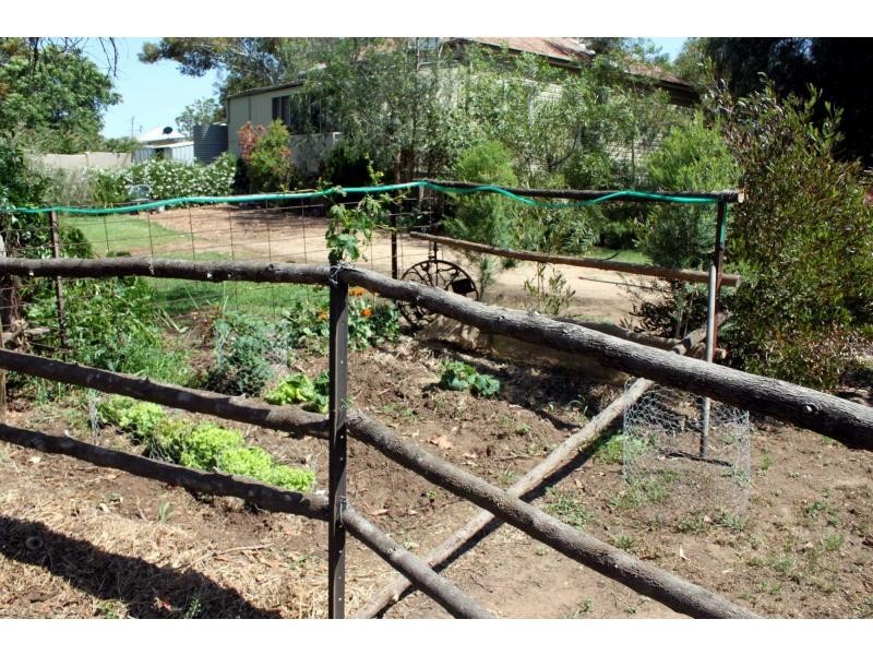 Gilgandra NSW 2827