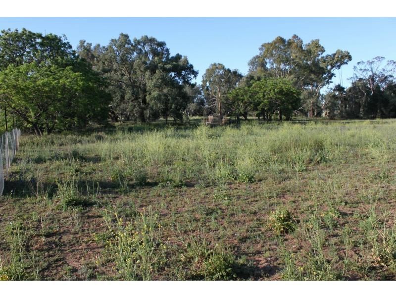 75 Dubbo Street, Elong Elong NSW 2831