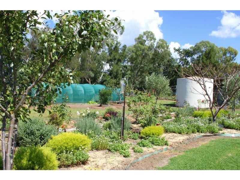 Mendooran NSW 2842