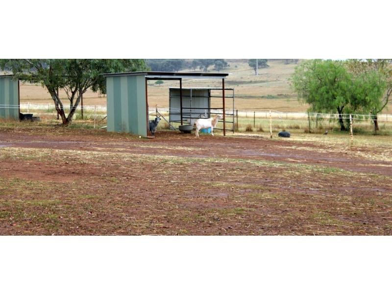 Geurie NSW 2831
