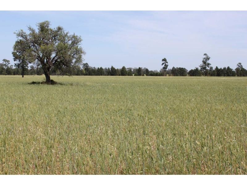 Biddon NSW 2827