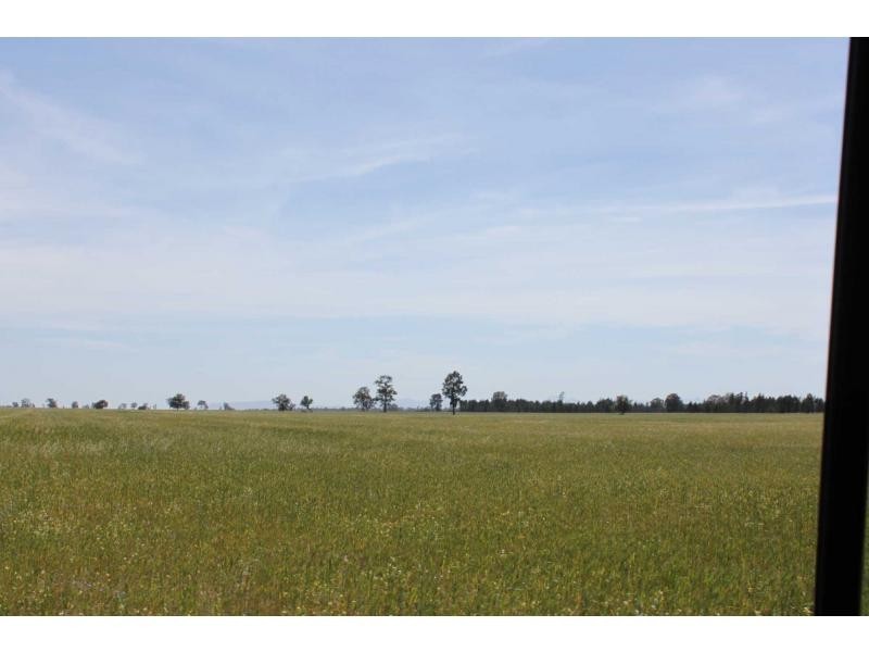 Biddon NSW 2827