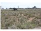 Biddon NSW 2827
