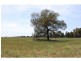 Biddon NSW 2827