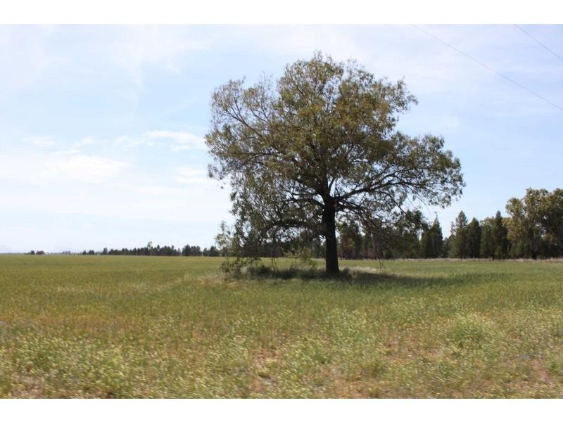 Biddon NSW 2827