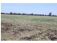 Biddon NSW 2827