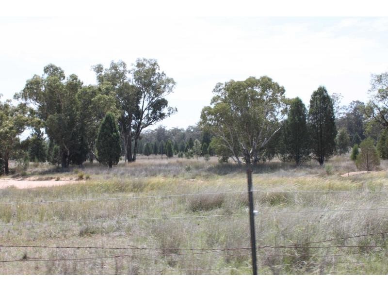 Biddon NSW 2827
