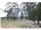 Biddon NSW 2827