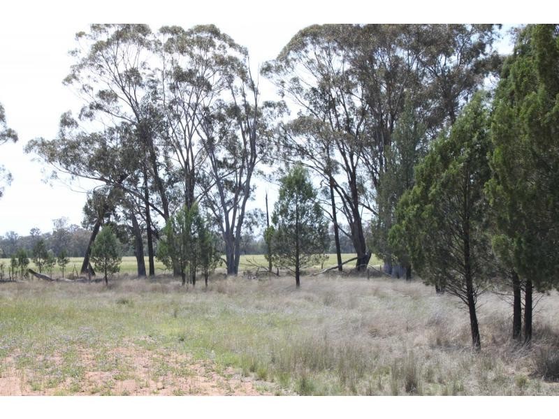 Biddon NSW 2827