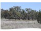 Biddon NSW 2827