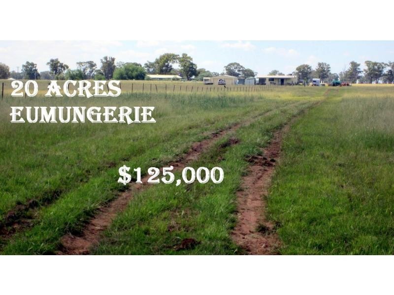 Eumungerie NSW 2831