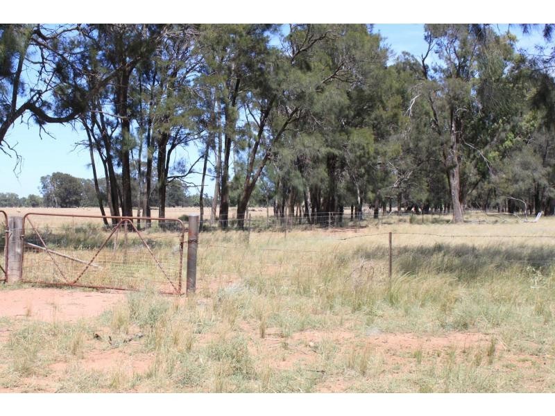 Gilgandra NSW 2827