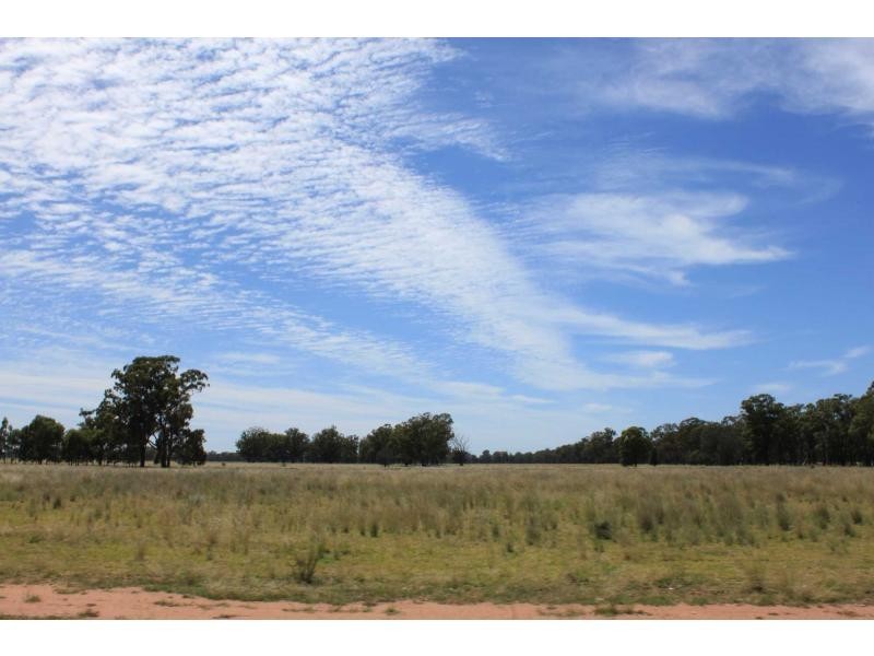 Gilgandra NSW 2827