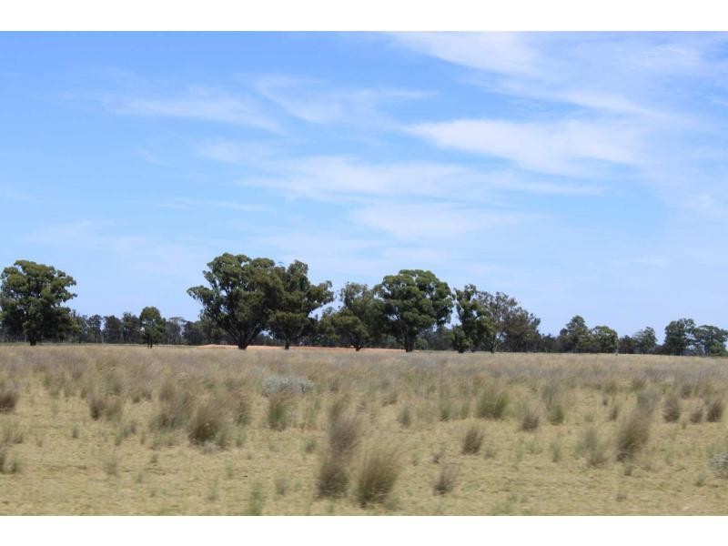 Gilgandra NSW 2827