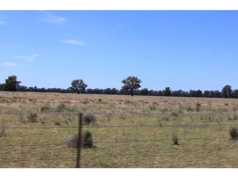 Gilgandra NSW 2827