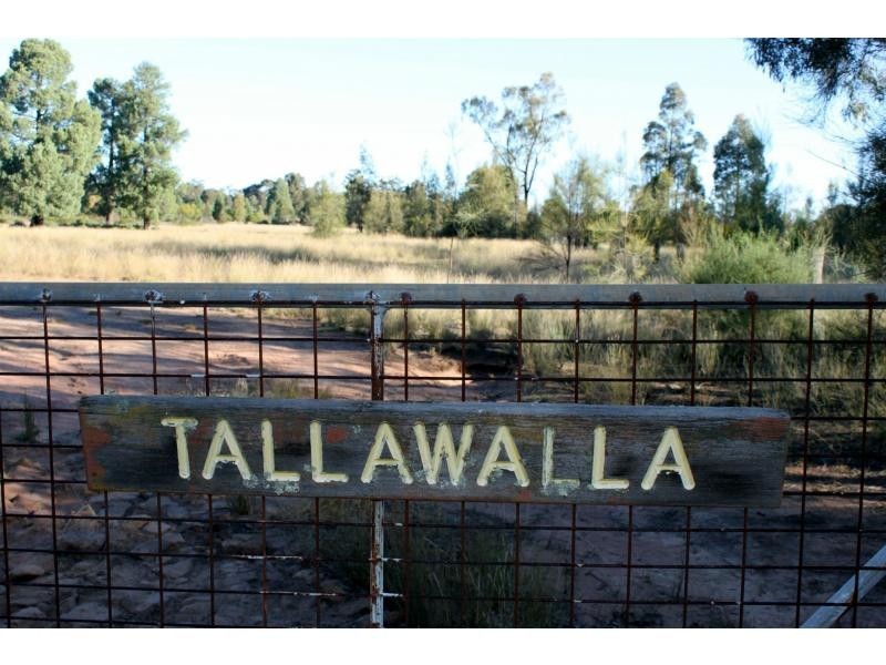 Balladoran NSW 2831