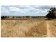Wongarbon NSW 2831