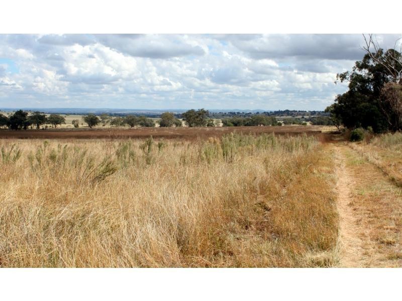 Wongarbon NSW 2831