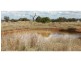 Wongarbon NSW 2831