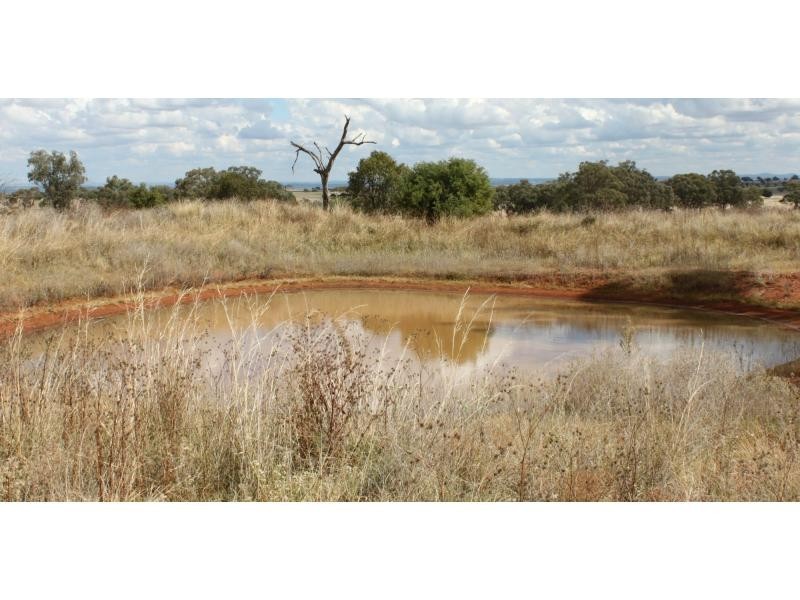 Wongarbon NSW 2831