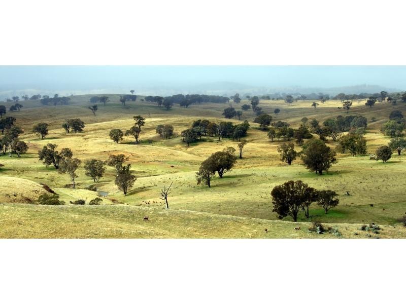 Kerrs Creek NSW 2800