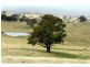 Kerrs Creek NSW 2800