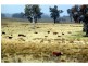 Kerrs Creek NSW 2800