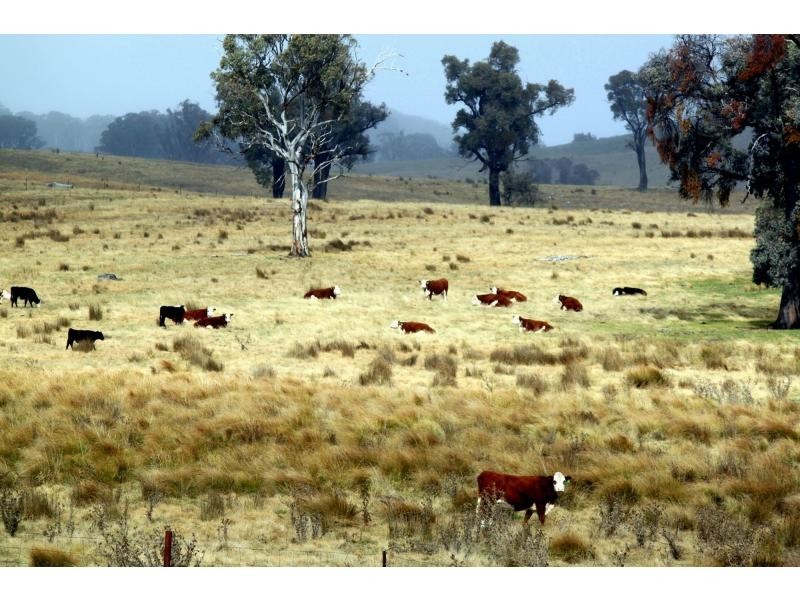 Kerrs Creek NSW 2800