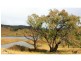 Kerrs Creek NSW 2800