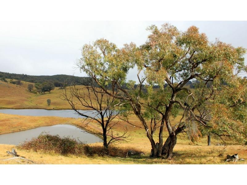 Kerrs Creek NSW 2800