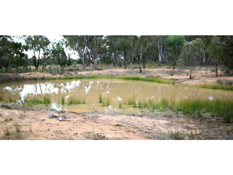 Mendooran NSW 2842