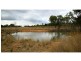 Mendooran NSW 2842