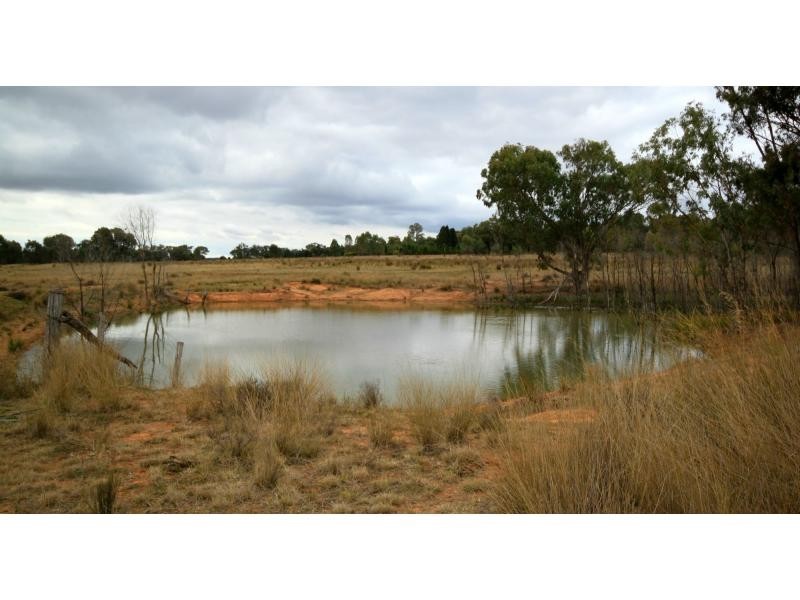 Mendooran NSW 2842