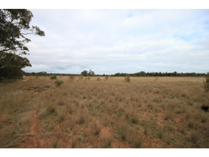 Mendooran NSW 2842