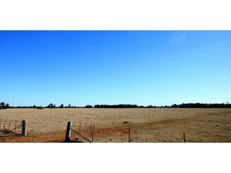 Peak Hill NSW 2869