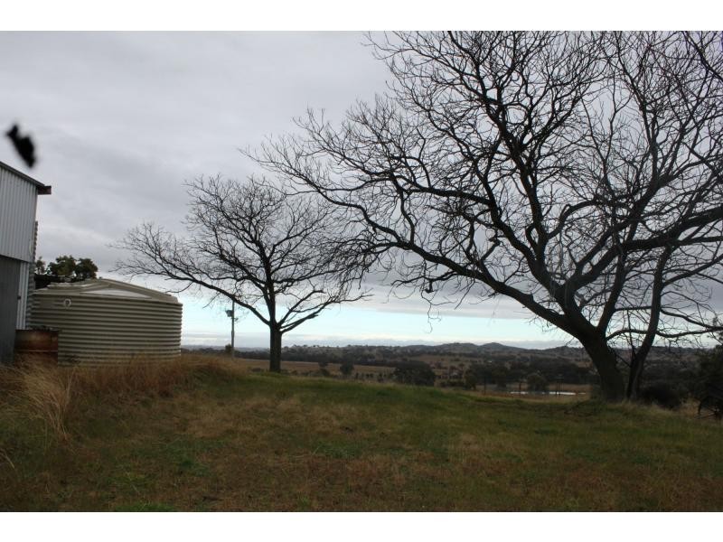 Stuart Town NSW 2820